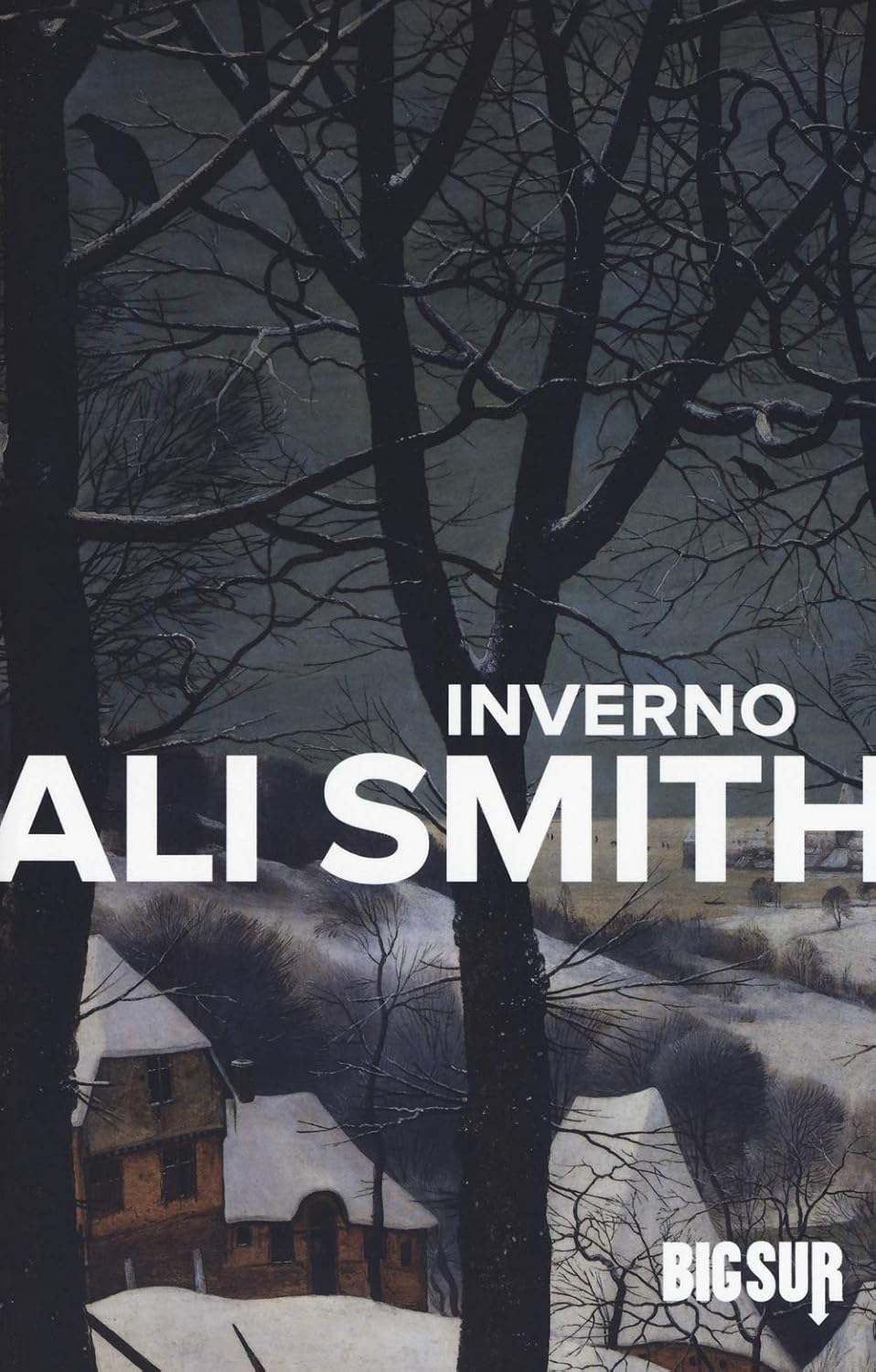 INVERNO di Ali Smith (Big&nbsp;Sur)